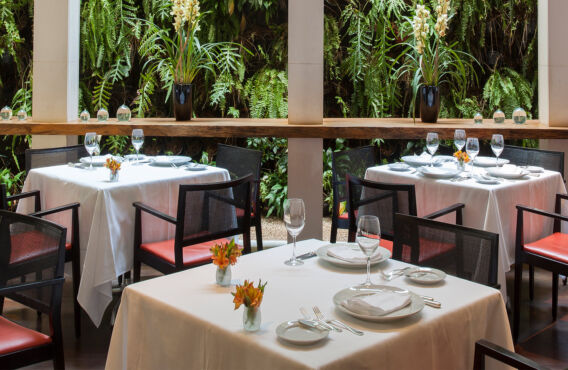 Degustation Set Menu