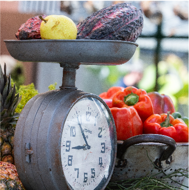 Fornecedores: Uma Rede Consciente